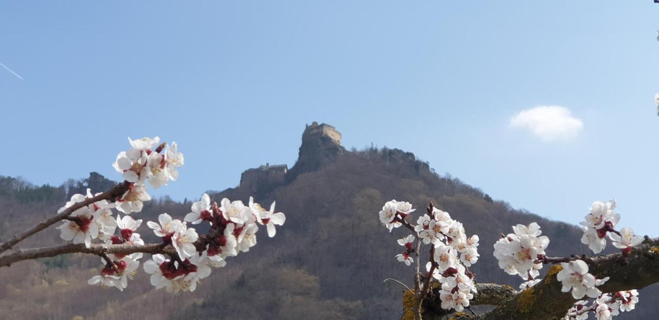 Donauwirt - Hotel Garni Weissenkirchen in der Wachau Exteriör bild