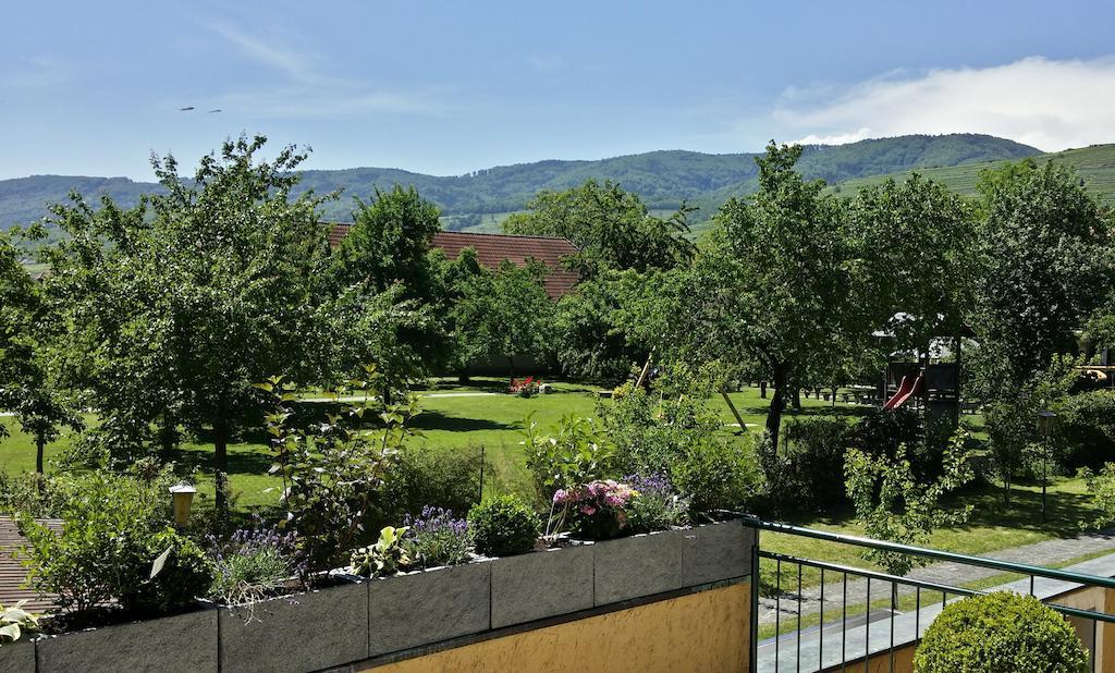 Donauwirt - Hotel Garni Weissenkirchen in der Wachau Exteriör bild