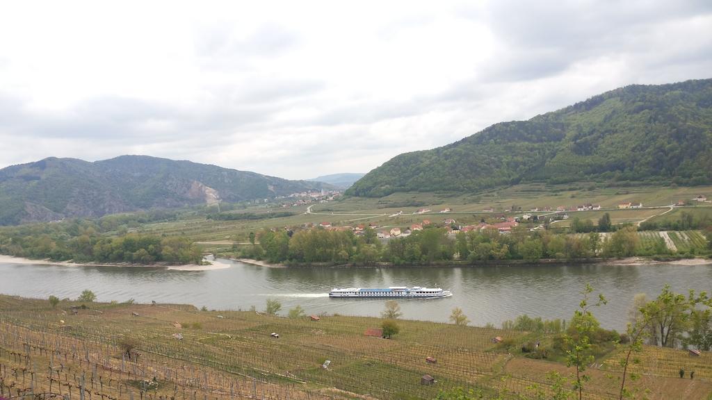 Donauwirt - Hotel Garni Weissenkirchen in der Wachau Exteriör bild