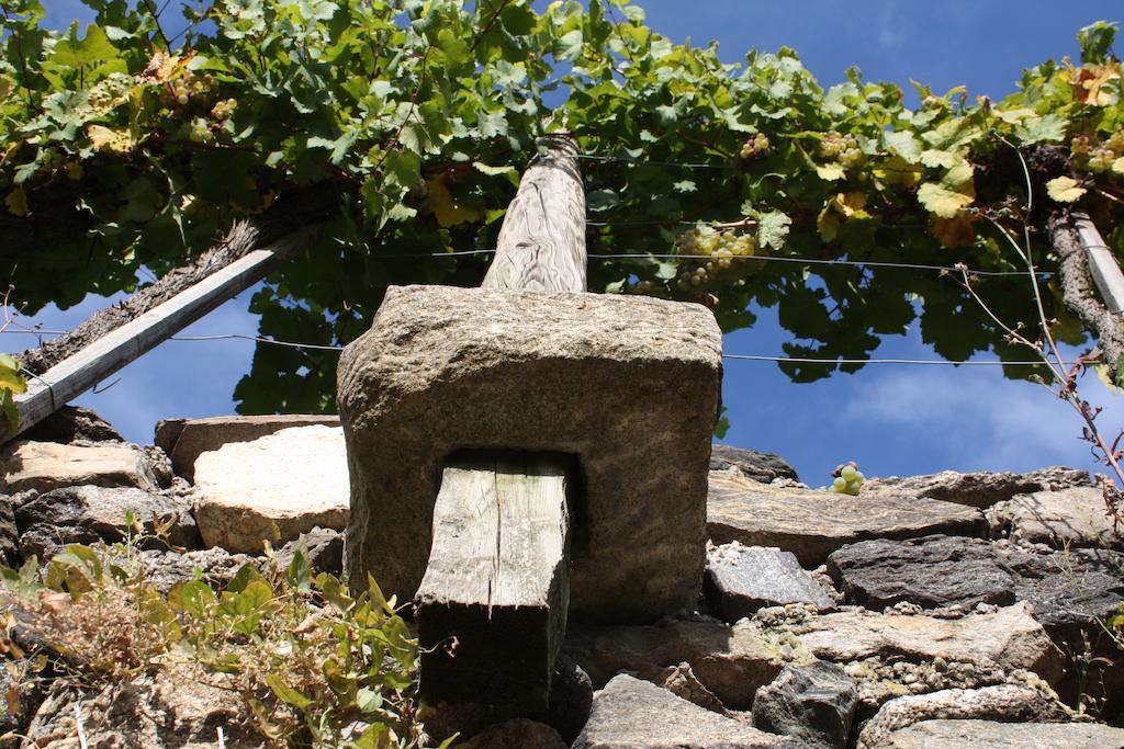 Donauwirt - Hotel Garni Weissenkirchen in der Wachau Exteriör bild